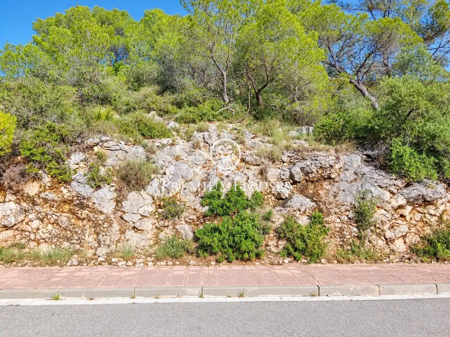 Residential land for sale in Mas Alba, imagen 10