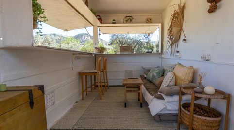 Finca rústica con olivos y frutales. Agua de riego de pozo propio. Construcción metálica., imagen 4