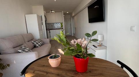 Foto 3 de Estudio de alquiler en Calle Luis Vives, Solymar, Málaga