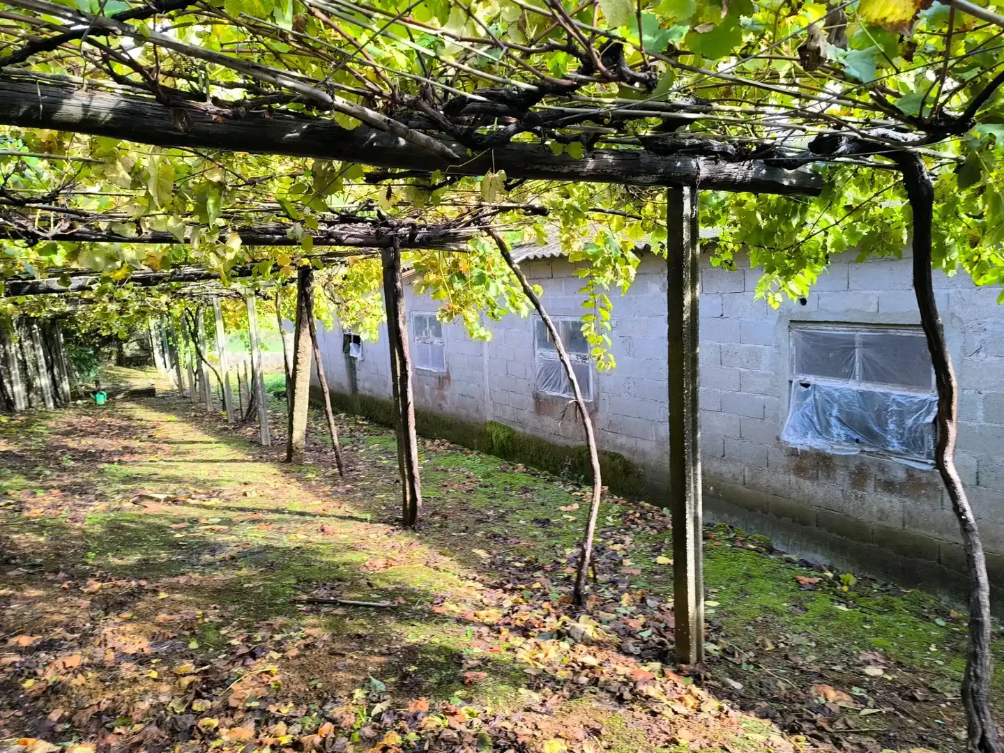 Jardín de Casa o chalet en venta en Santiago de Compostela  con Jardín privado