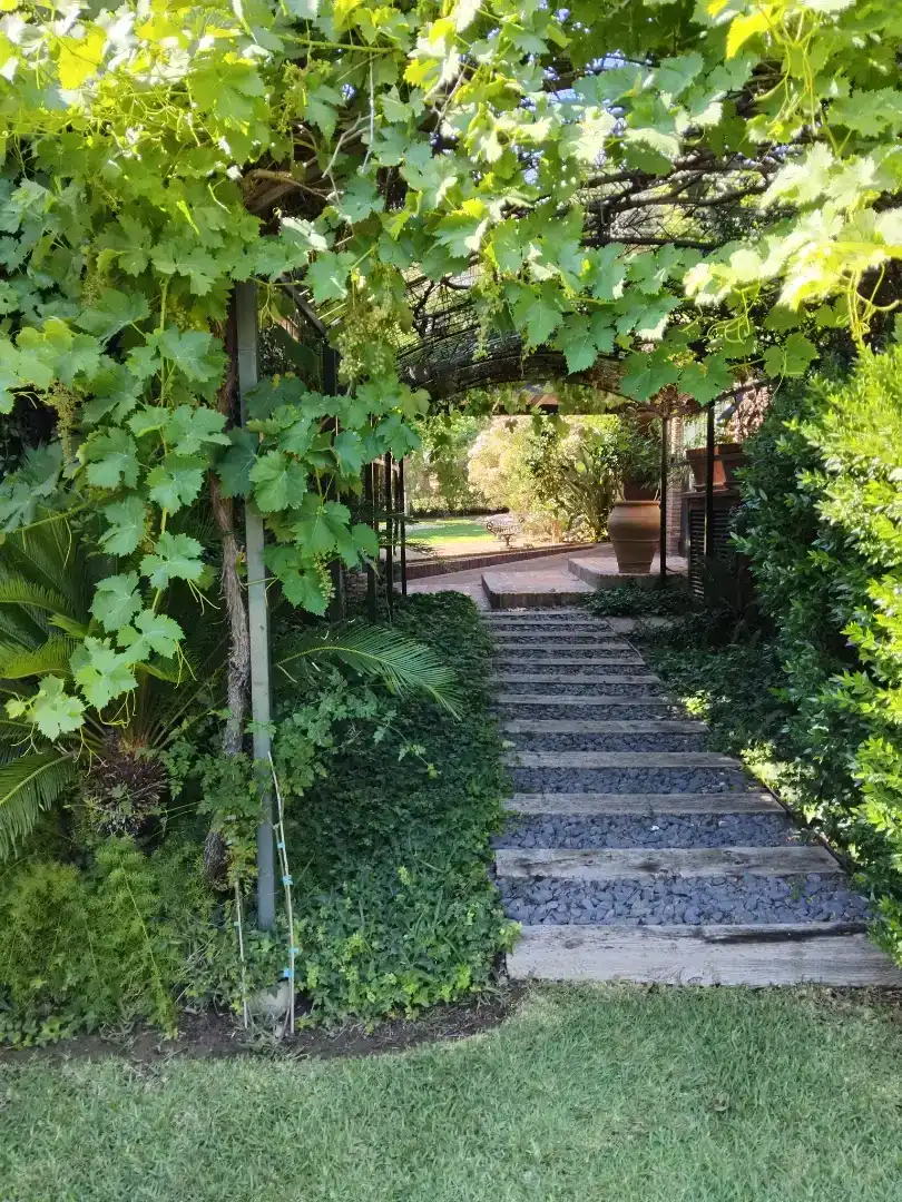 Terrace of Houses for rent in Nueva Andalucía