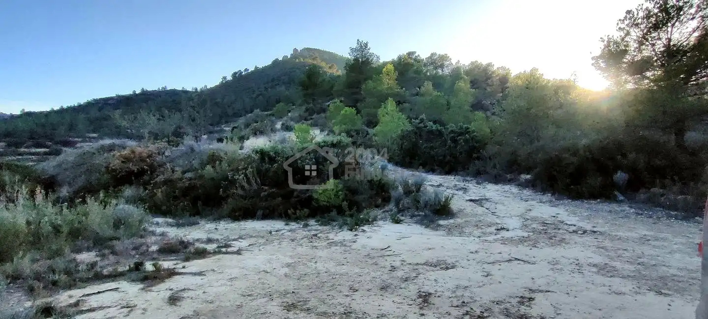 Terreny rústic en venda a Les Urques, imagen 8