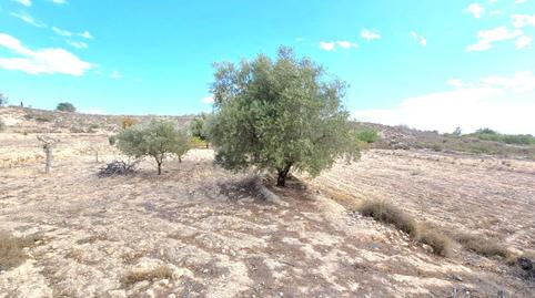 Foto 5 de Casa o xalet en venda a El Fenazar - Campotéjar, Murcia