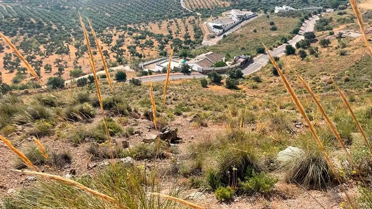 Lands and plots for sale in Bobadilla - Bobadilla Estación - La Joya, imagen 6