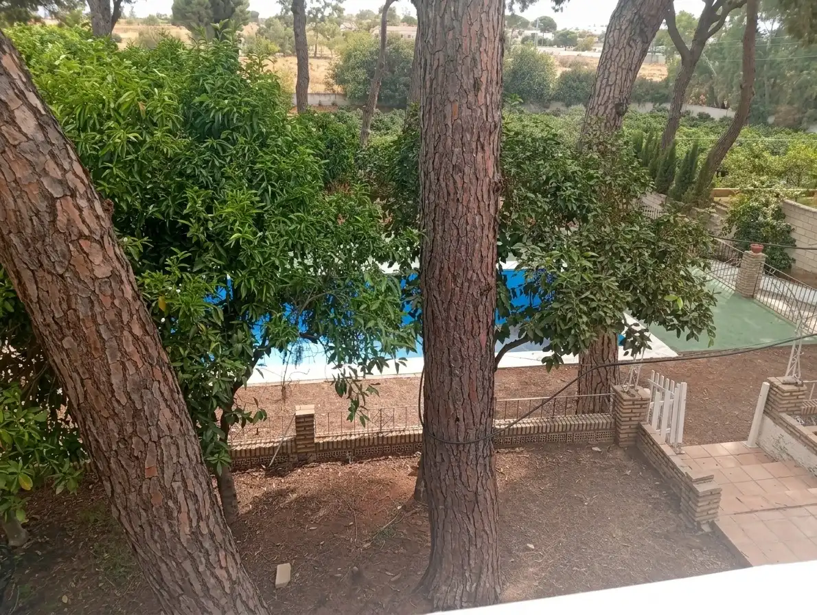 Chalet con piscina en venta en Oromana, imagen 11