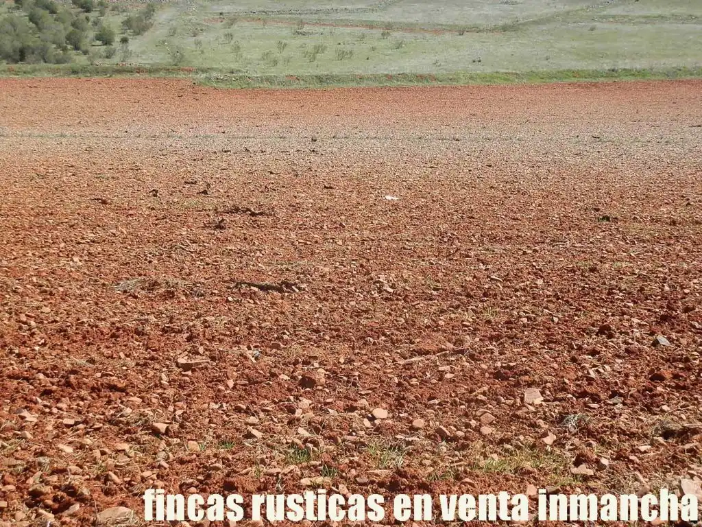 Rural land for sale in Valdepeñas, imagen 14