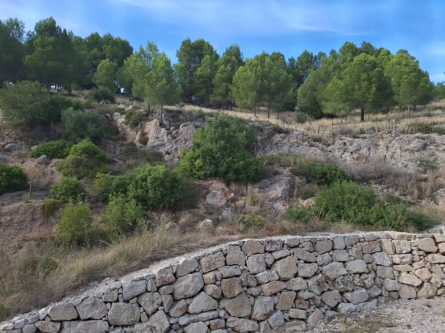 Appartamento con terrazza in vendita a Castelló de Rugat, imagen 20