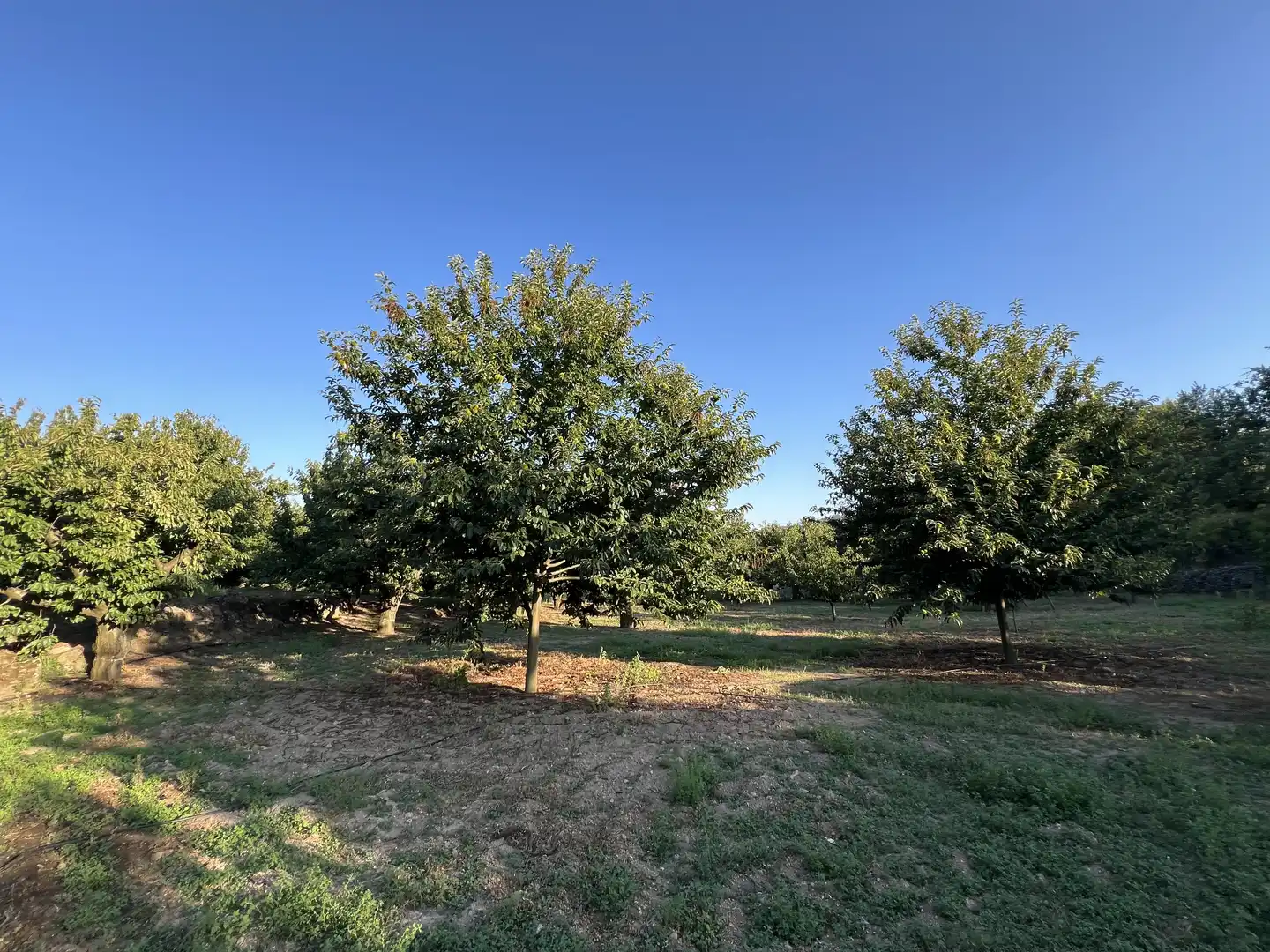 Terreni e lotti in vendita a Garganta la Olla, imagen 8