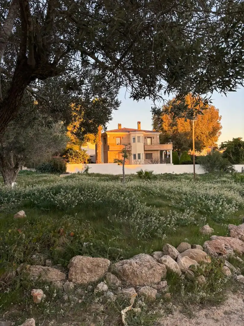 Jardín de Casa o chalet en venta en Rojales con Aire acondicionado, Calefacción y Jardín privado