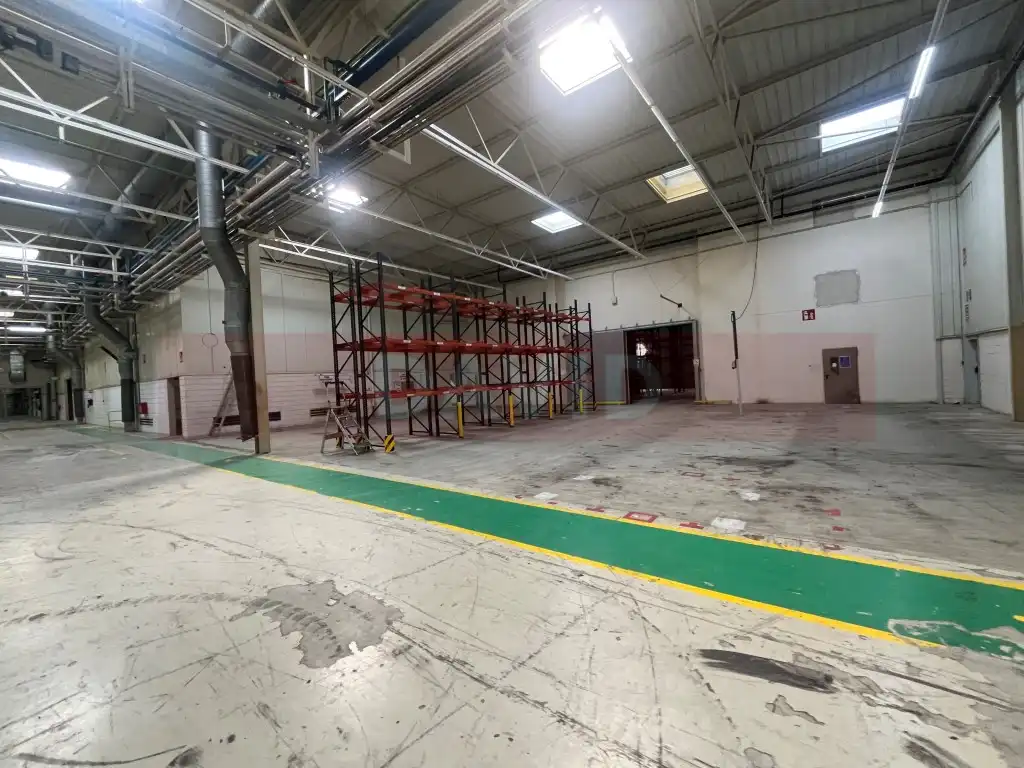 Industrial building for sale in Diseminados Poligon 39, imagen 4