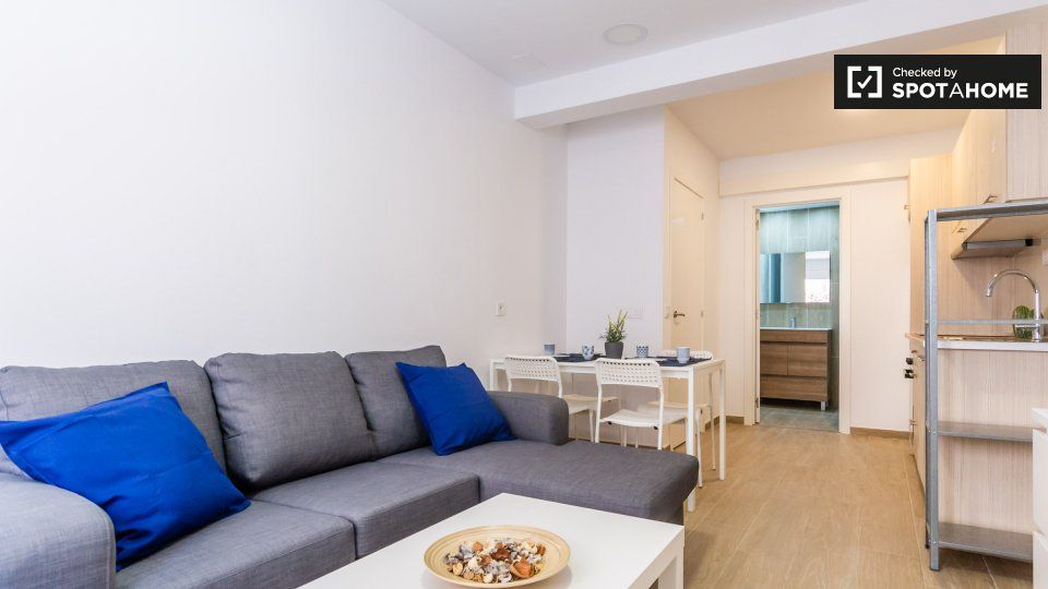 Pis de lloguer a Hostafrancs