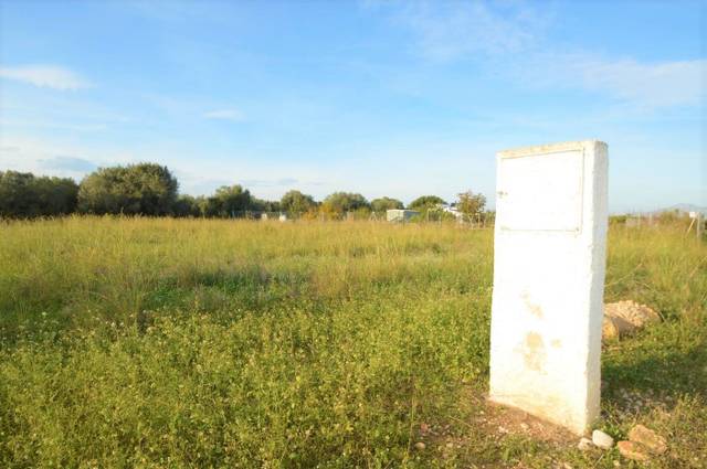 Terreno en Venta en Vistabella