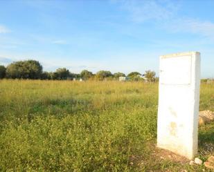 Land for sale in Vinaròs