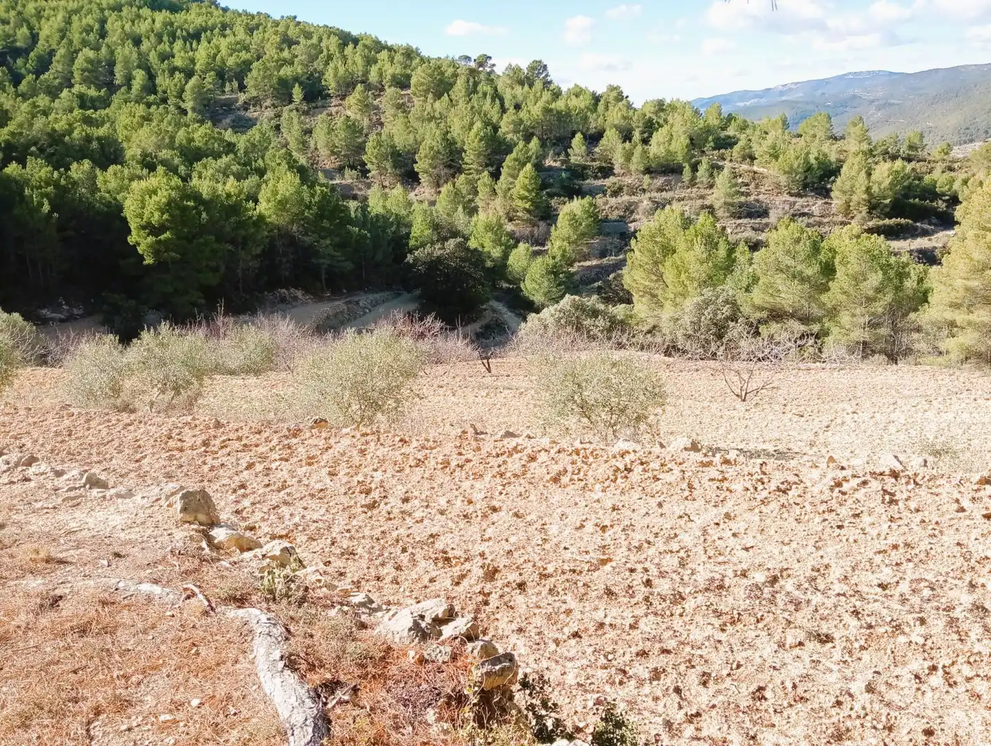Casa rústica en venda a Sella, imagen 22