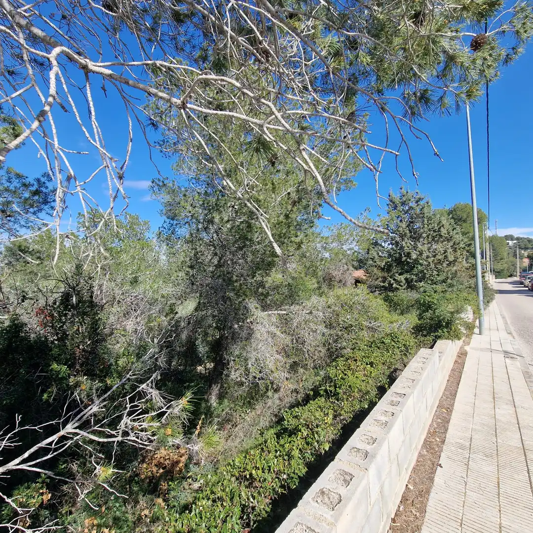 Terreno residencial en venta en Carrer Gessamí 18, imagen 35
