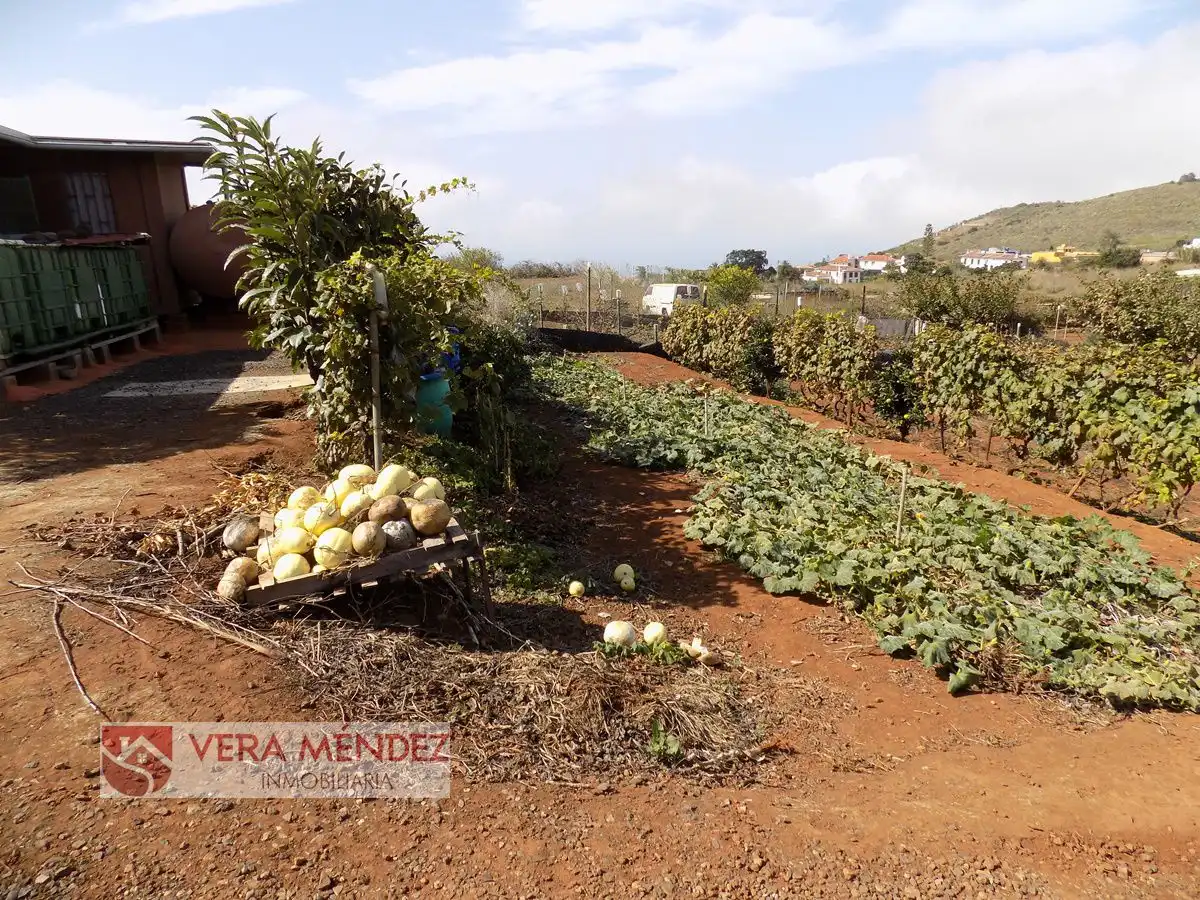 Garden of Country homes for sale in Tacoronte