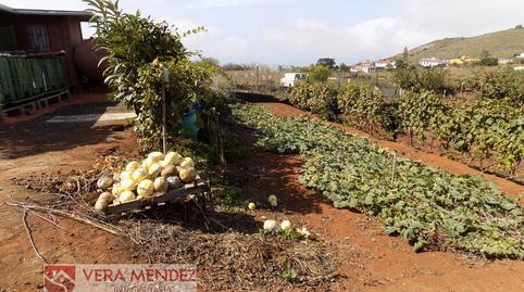 Foto 2 de Finca rústica en venda a Tacoronte - Los Naranjeros, Santa Cruz de Tenerife