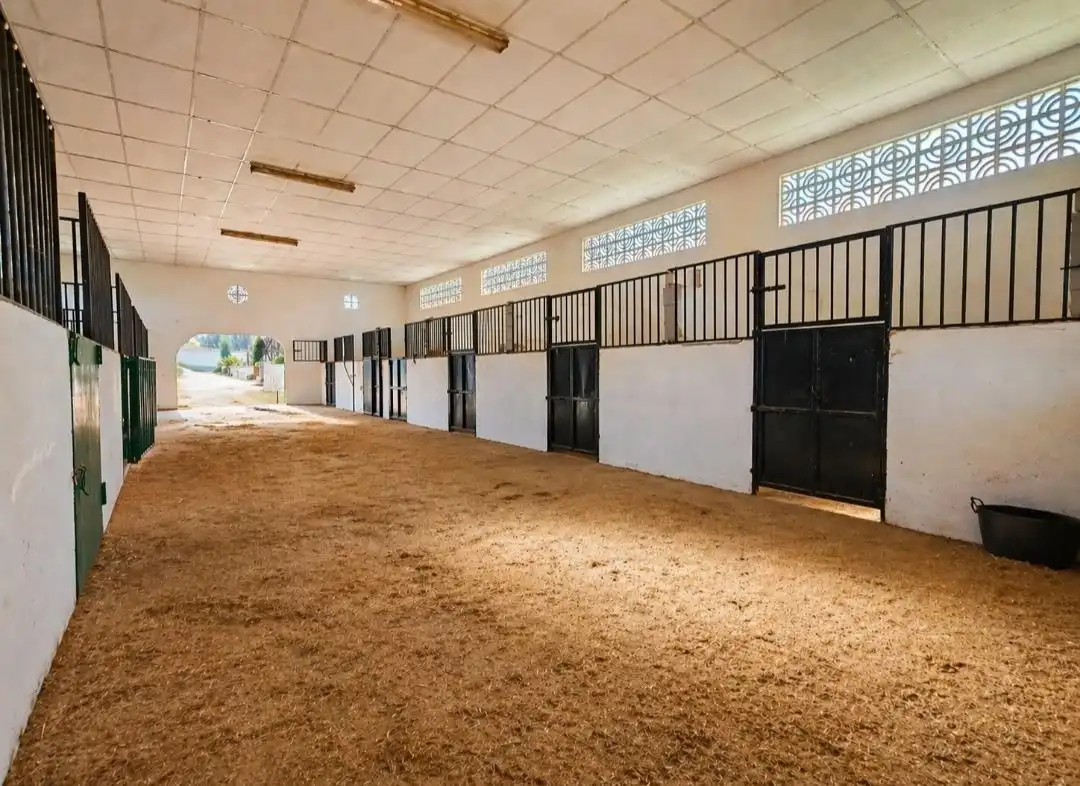 Villa à vendre à Novelda, imagen 40