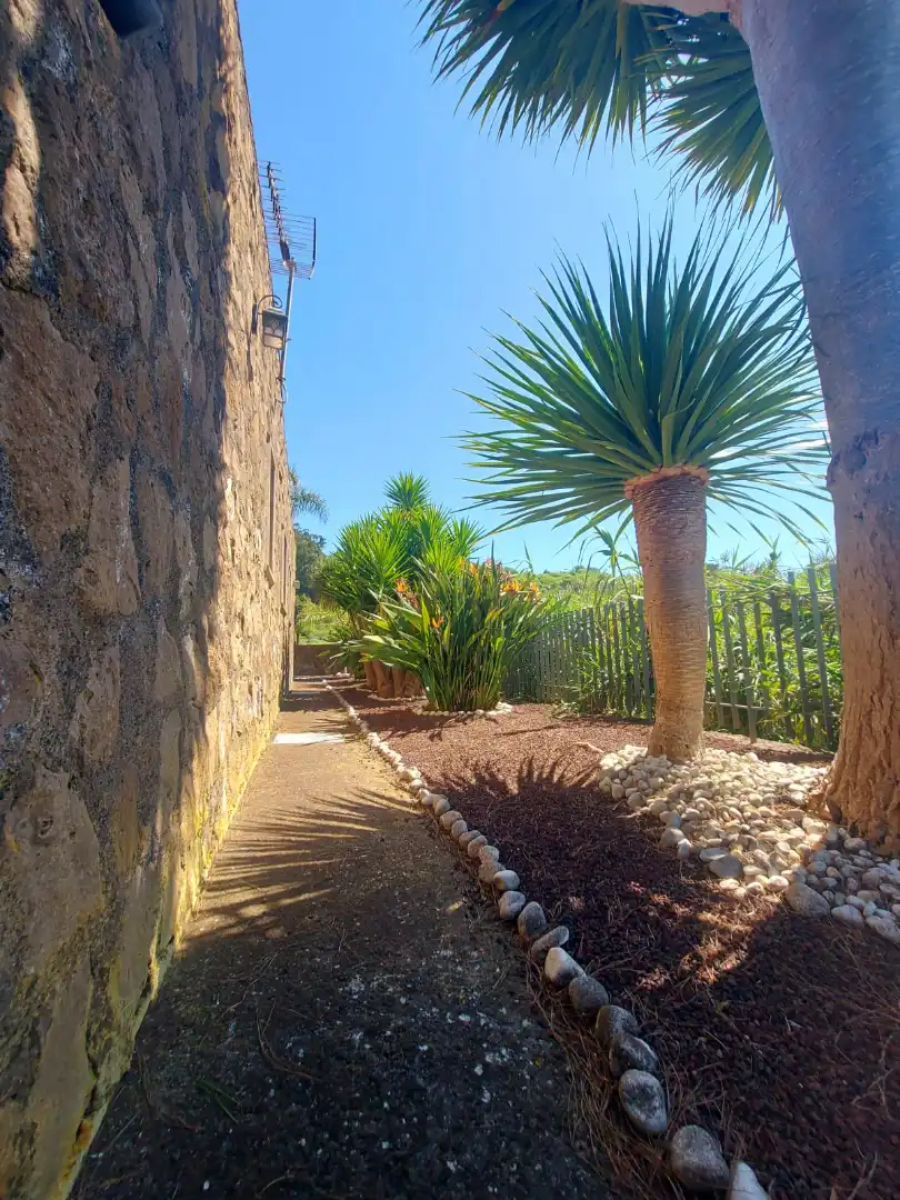 Jardí de Casa o xalet en venda en Tacoronte amb Jardí privat, Parquet i Terrassa