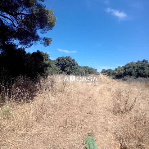 Terreno residencial en Venta en Taraguilla- Estación