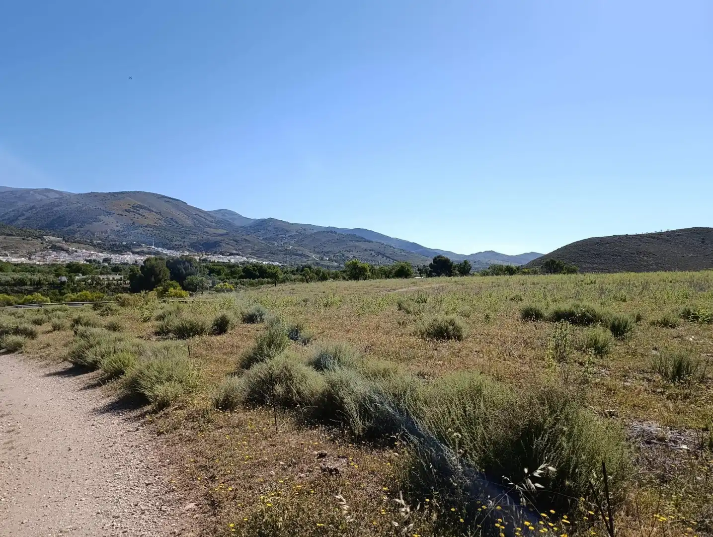 Rural land for sale in Laujar de Andarax, imagen 22
