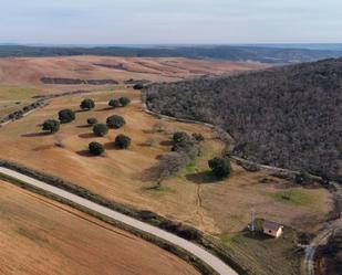 Land for sale in Arbancón