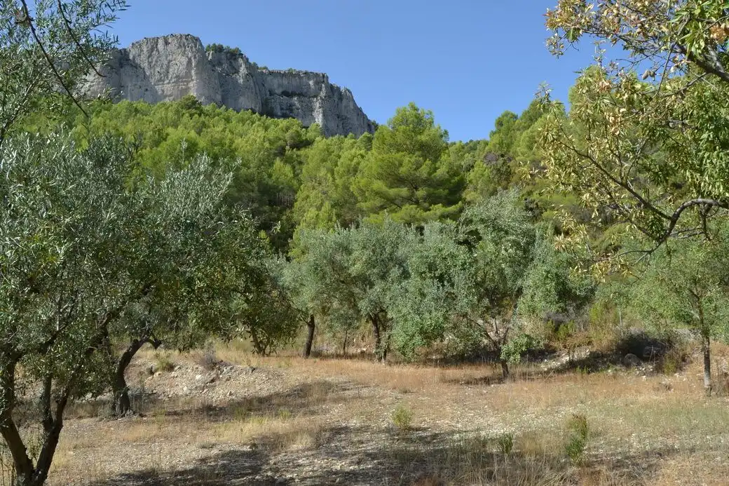 Grundstücke und Bauplätze zum Verkauf in El Castell de Guadalest, imagen 12