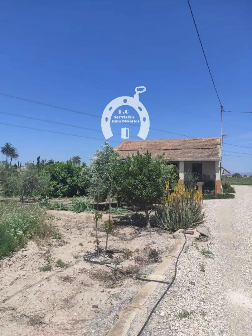 Casa o xalet en venda en Elche / Elx amb Terrassa