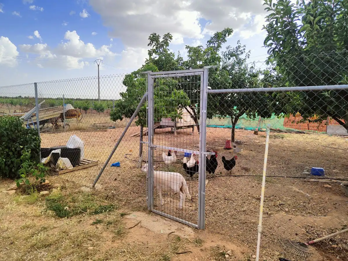 Casa rústica en venda a Valdepeñas, imagen 7