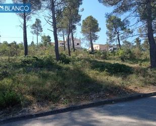Industrial land for sale in Mediona