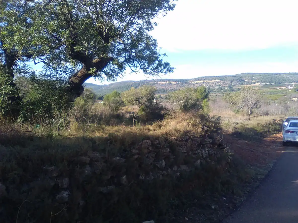 Terreno residencial en venta en Algímia de Alfara, imagen 3