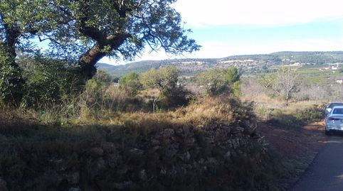 Terreno Rústico en venta en Algimia De Alfara., imatge 3