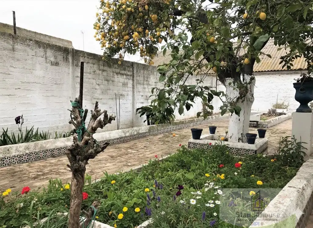 Garden of Houses for sale in Manzanilla  with Storage room and Balcony