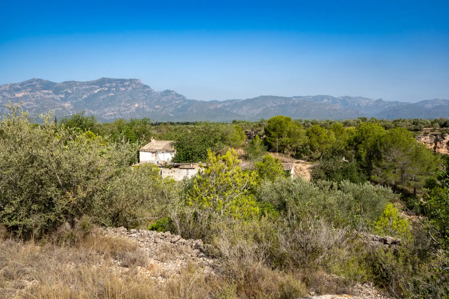 Rural land for sale in Vinallop, imagen 19