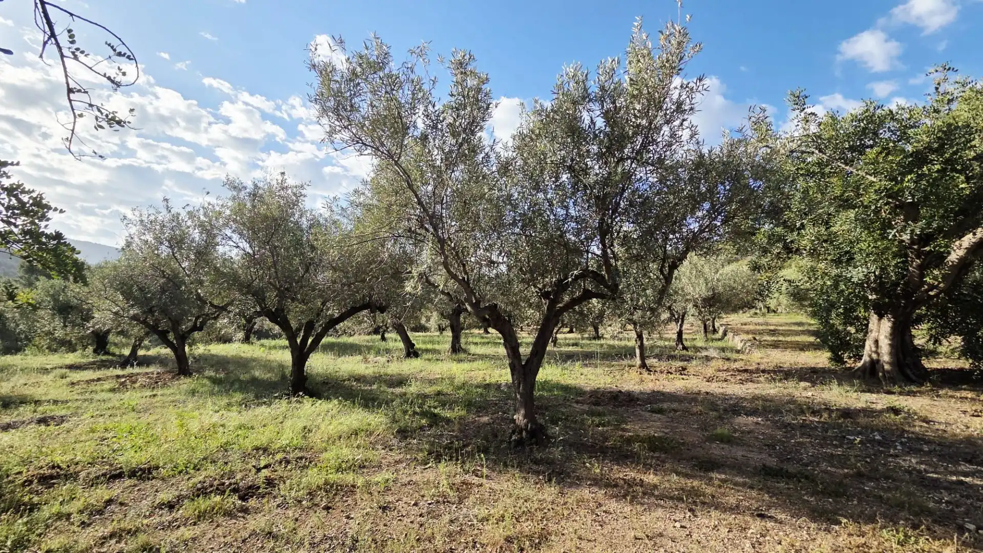 Grundstücke und Bauplätze zum Verkauf in El Castell de Guadalest, imagen 22