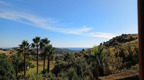 Foto 4 de Finca rústica en venta en Centro, Estepona