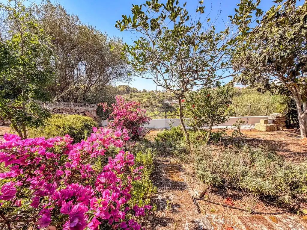 Jardí de Casa o xalet en venda en Ciutadella de Menorca