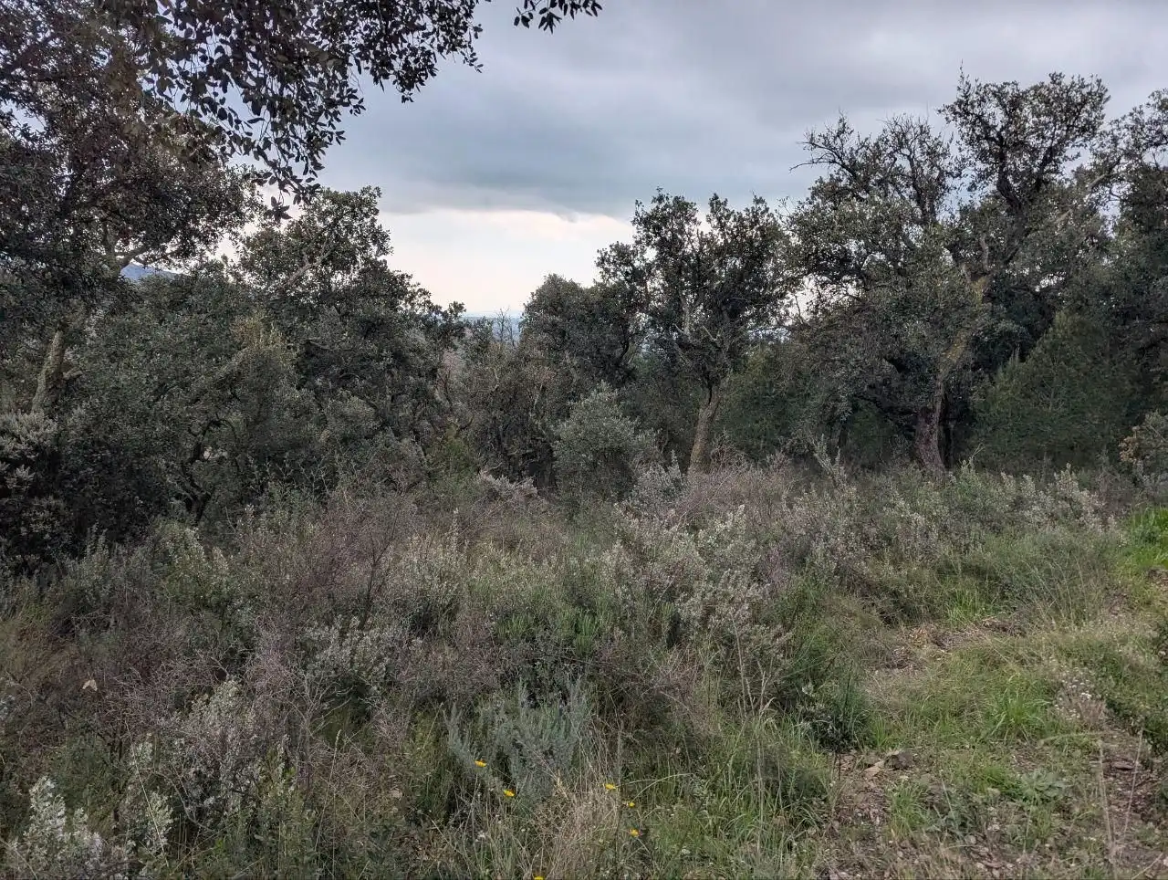Residencial en venta en Pedret i Marzà