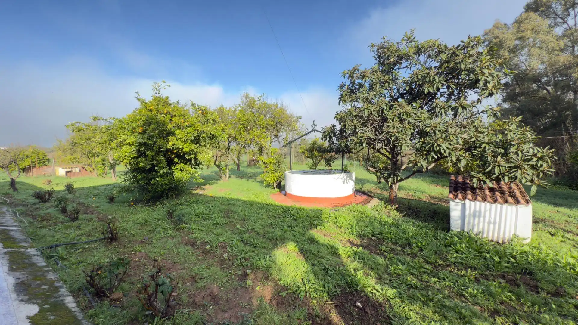 Casa rústica con jardín en venta en Gibraleón, imagen 8