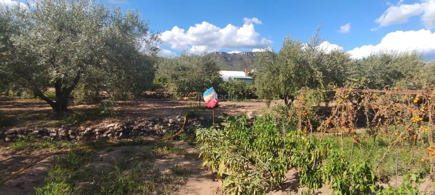 Terreno residencial en venta en Urbanitzacio Portugal 97C, imagen 13