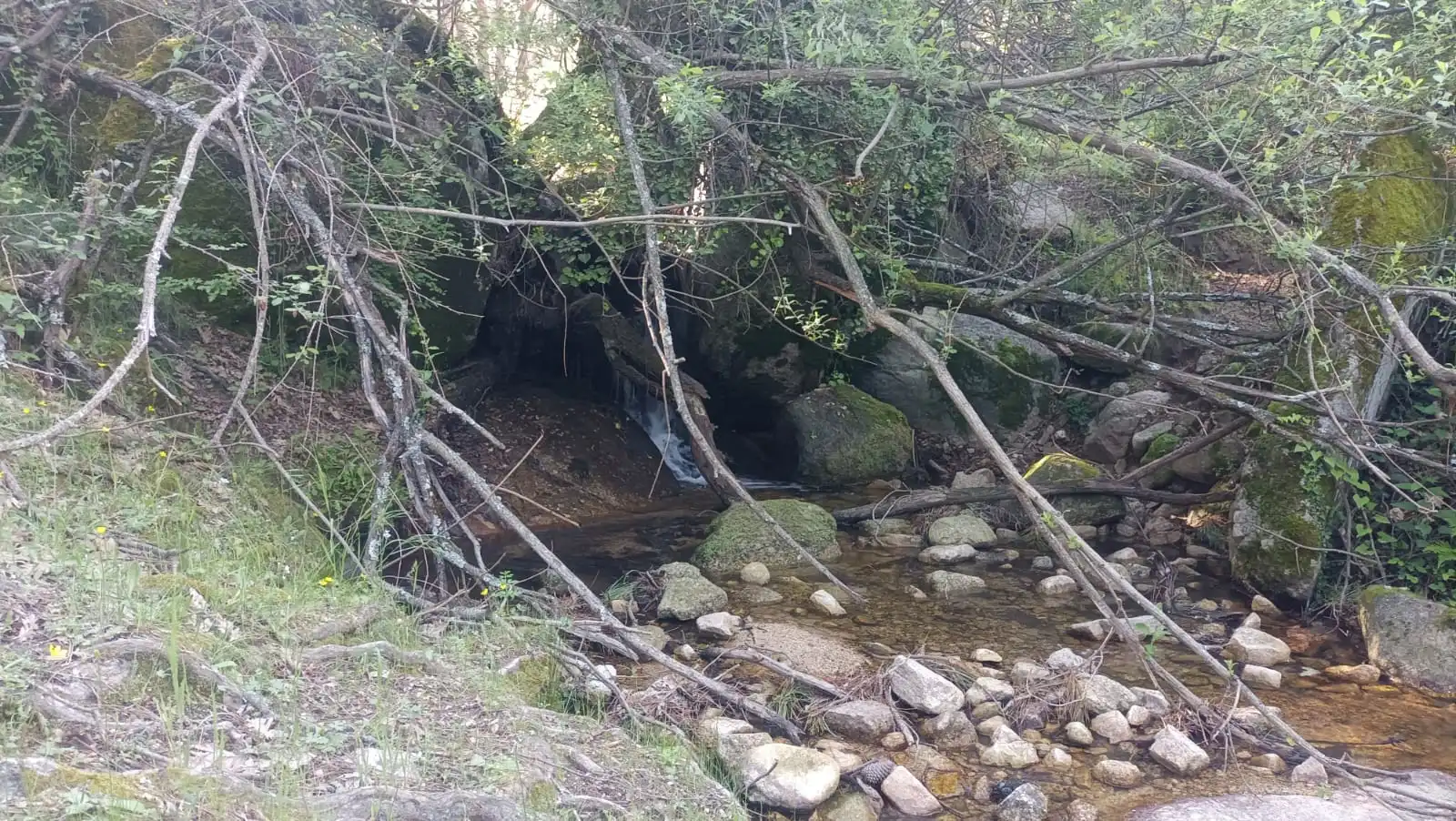 Terreny rústic en venda a Carretera de La Jarosa 1, imagen 6