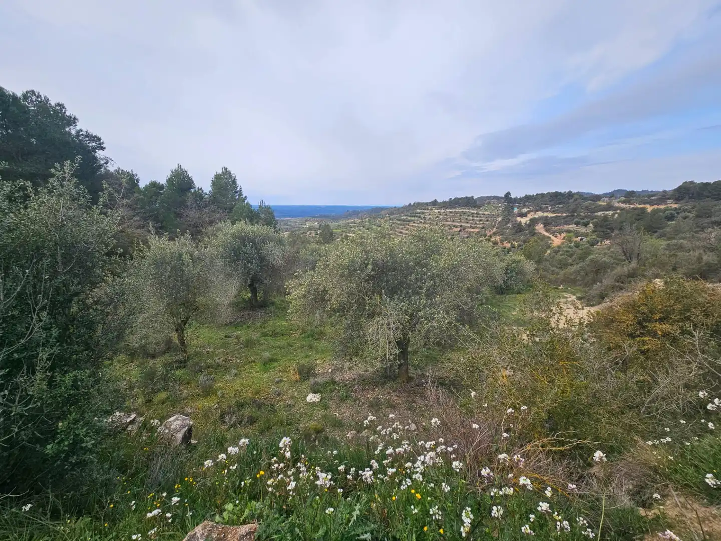 Rural land for sale in Cervià de Les Garrigues, imagen 14