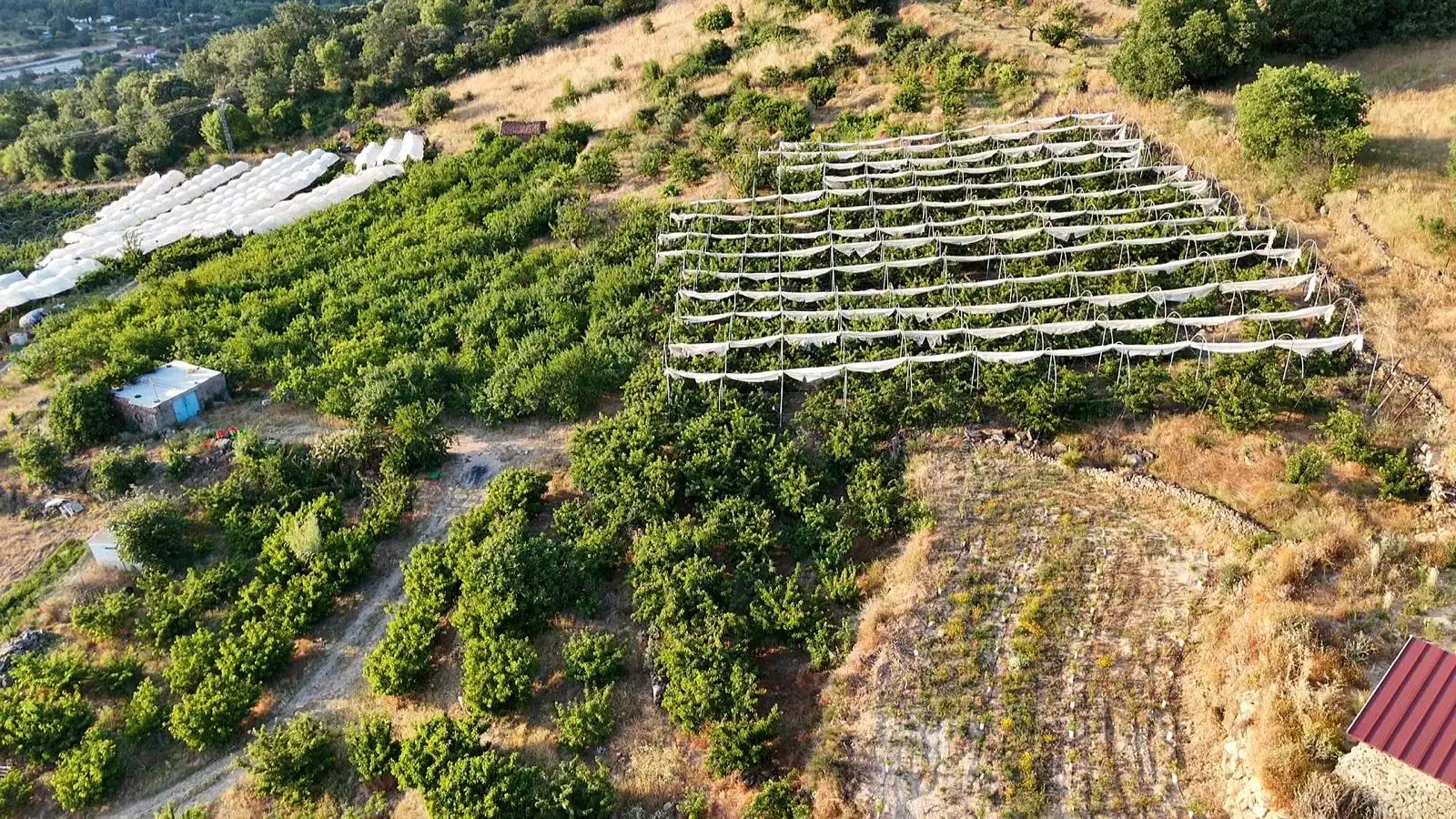 Terreni e lotti in vendita a Casas del Castañar, imagen 7