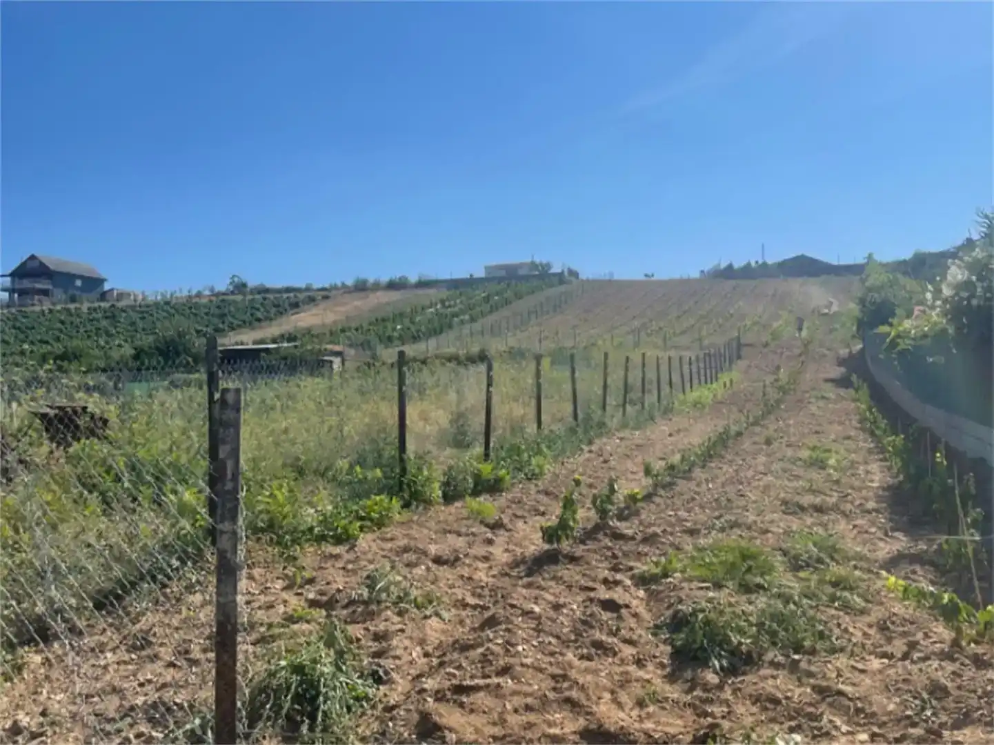 Terreno en venta en OU-0863, Petín