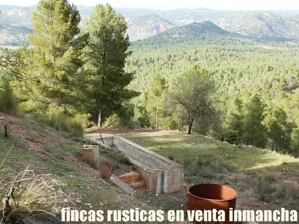 Rural land for sale in Requena, imagen 7