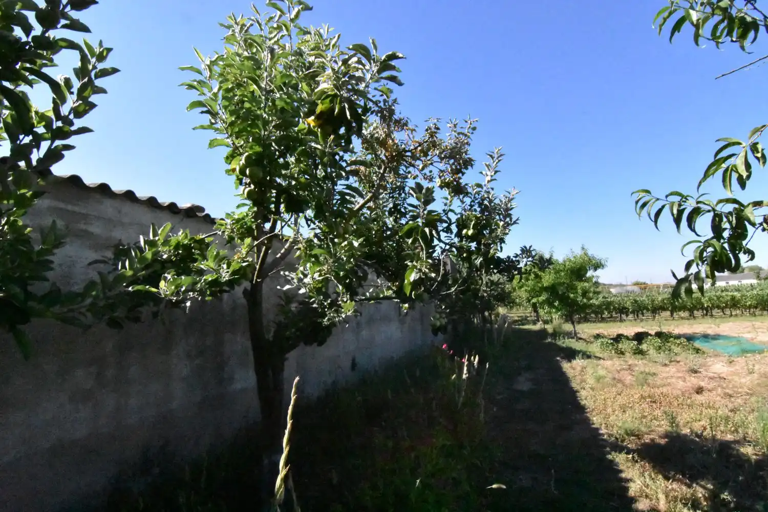 Finca rústica en venta en Ciudad Rodrigo