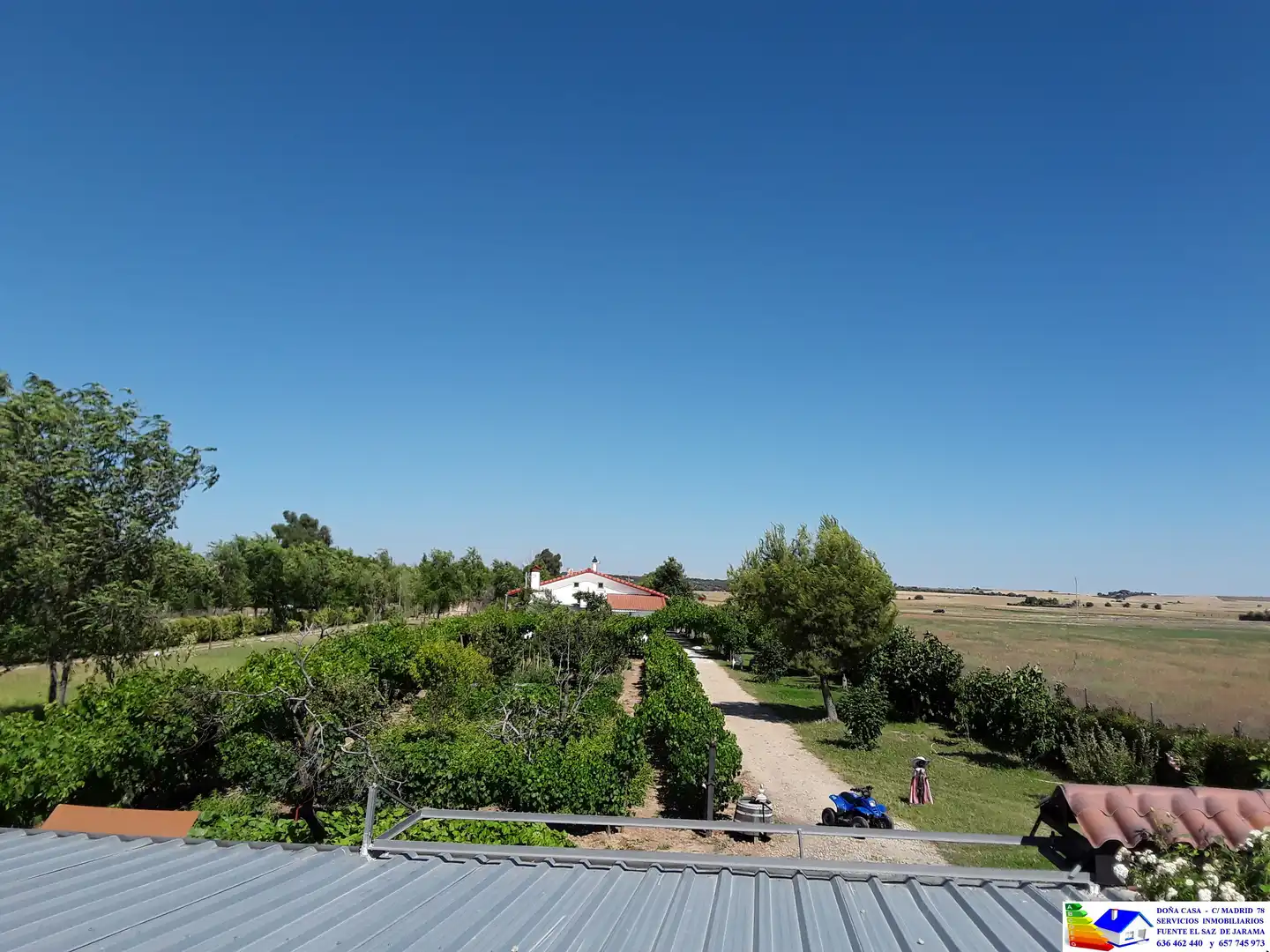 Jardín de Casa o chalet en venta en Fuente El Saz de Jarama con Aire acondicionado, Calefacción y Jardín privado