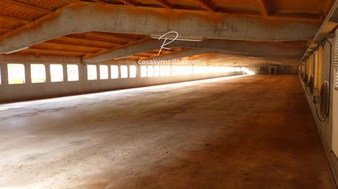 Photo 3 of Industrial buildings for sale in Vilobí del Penedès, Barcelona