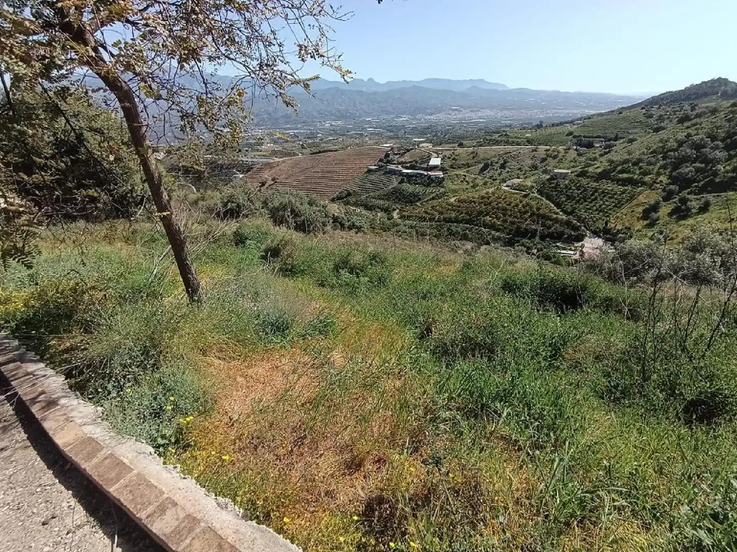 Casa o xalet en venda en Iznate amb Jardí privat, Terrassa i Traster