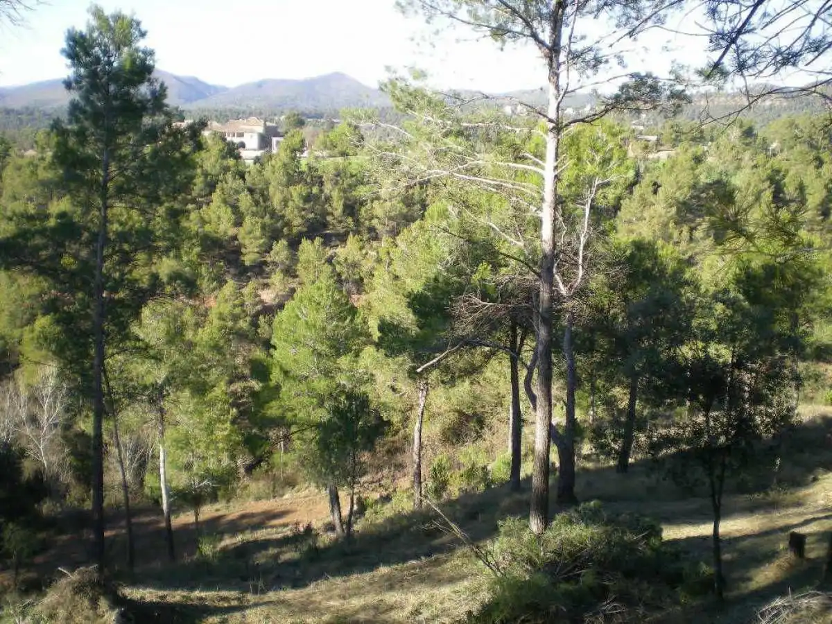 Terrenys i solars en venda a Castellnou de Bages, imagen 3